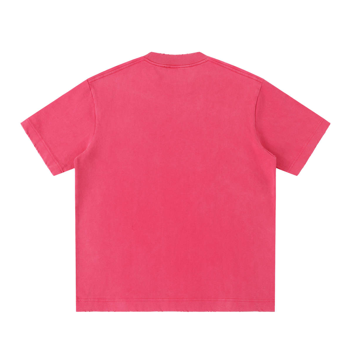 IRON LION ZION | Heavyweight Vintage Washed Frayed T-Shirt