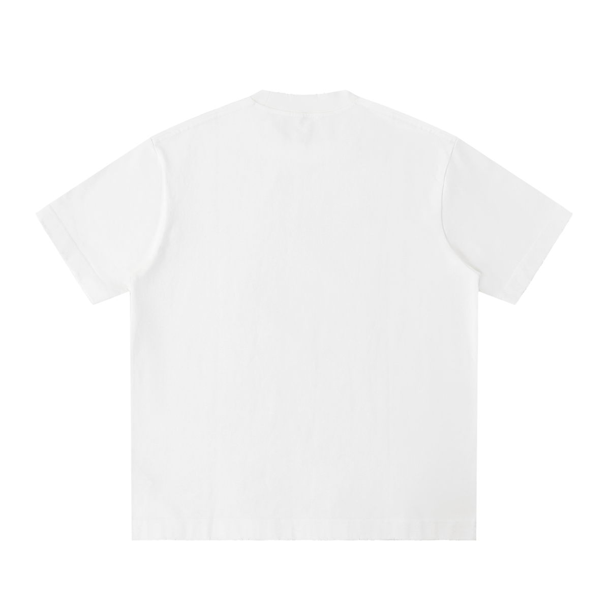 IRON LION ZION | Heavyweight Vintage Washed Frayed T-Shirt