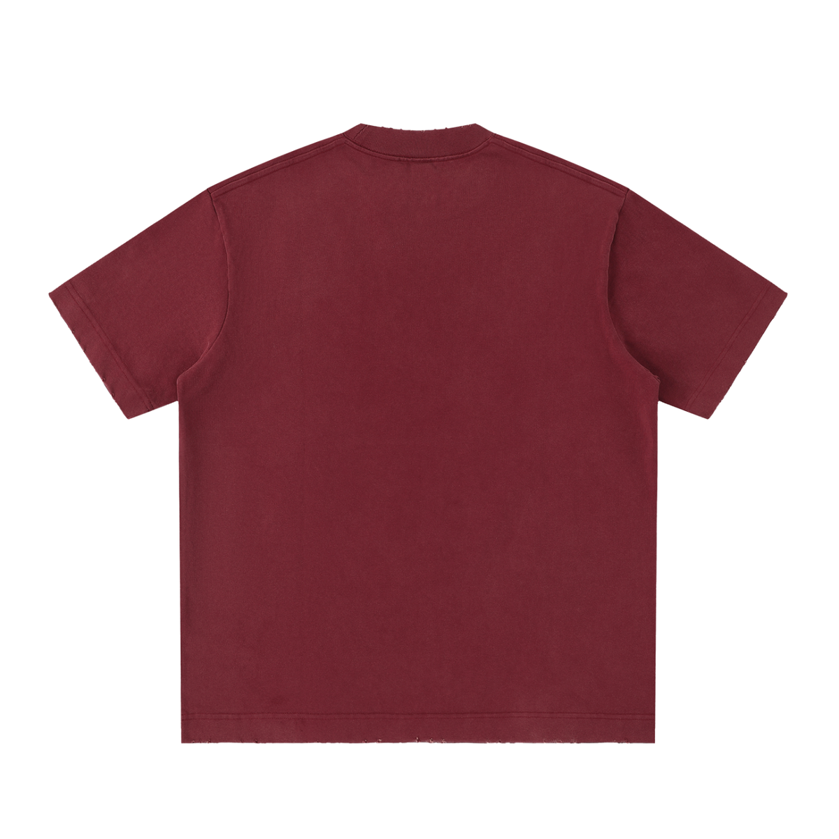 IRON LION ZION | Heavyweight Vintage Washed Frayed T-Shirt