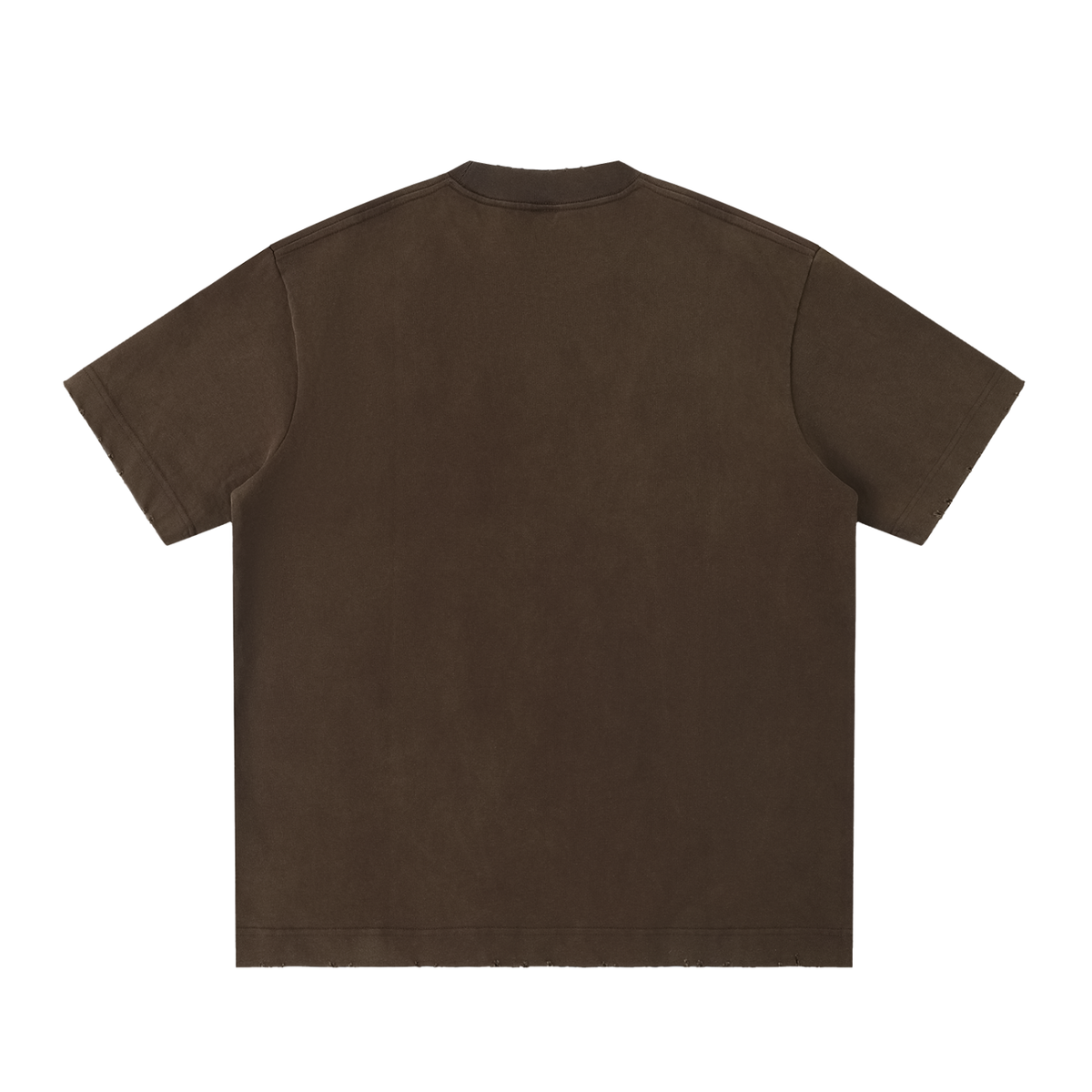 IRON LION ZION | Heavyweight Vintage Washed Frayed T-Shirt