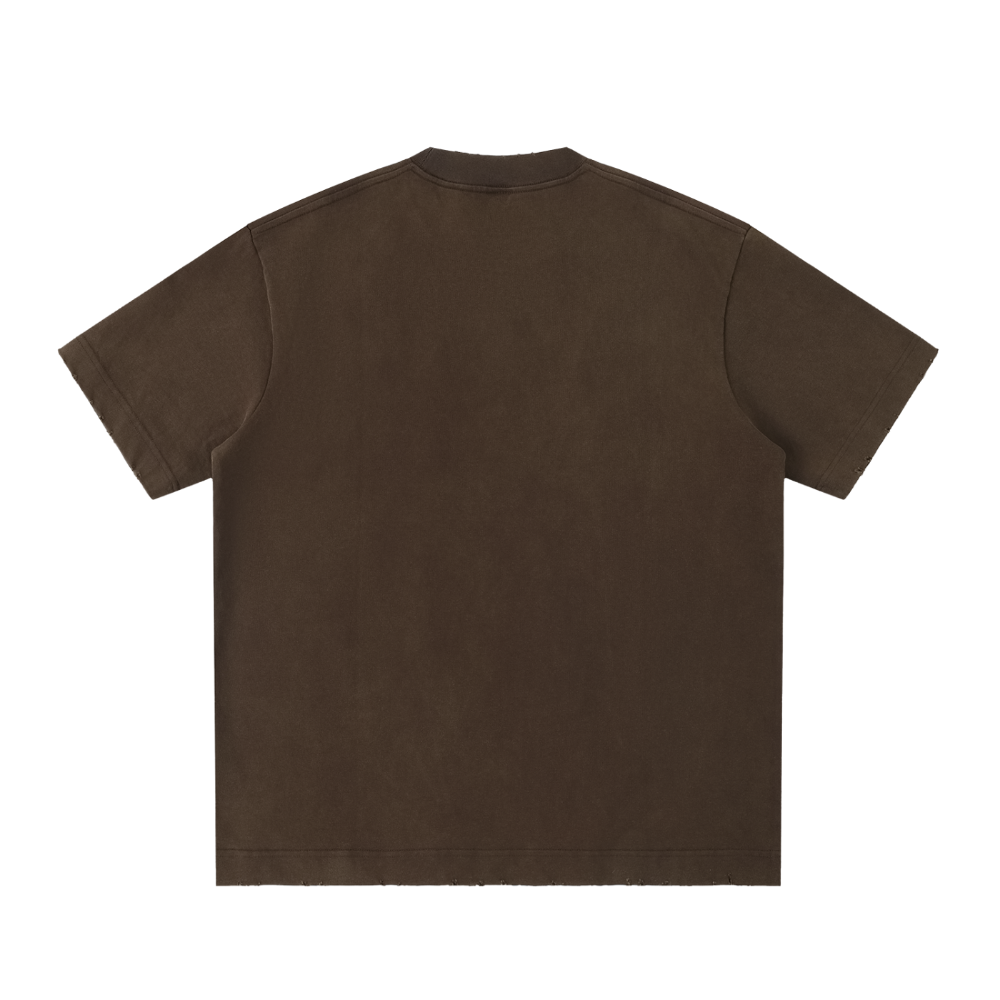 IRON LION ZION | Heavyweight Vintage Washed Frayed T-Shirt