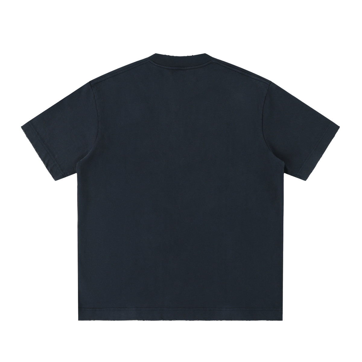 IRON LION ZION | Heavyweight Vintage Washed Frayed T-Shirt