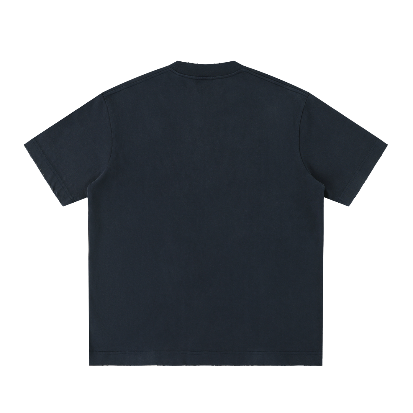 IRON LION ZION | Heavyweight Vintage Washed Frayed T-Shirt