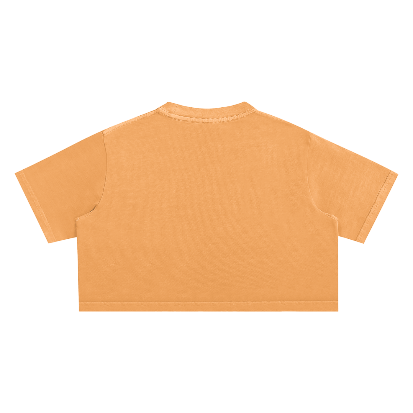 90's BABY | Snow Washed Crop Top