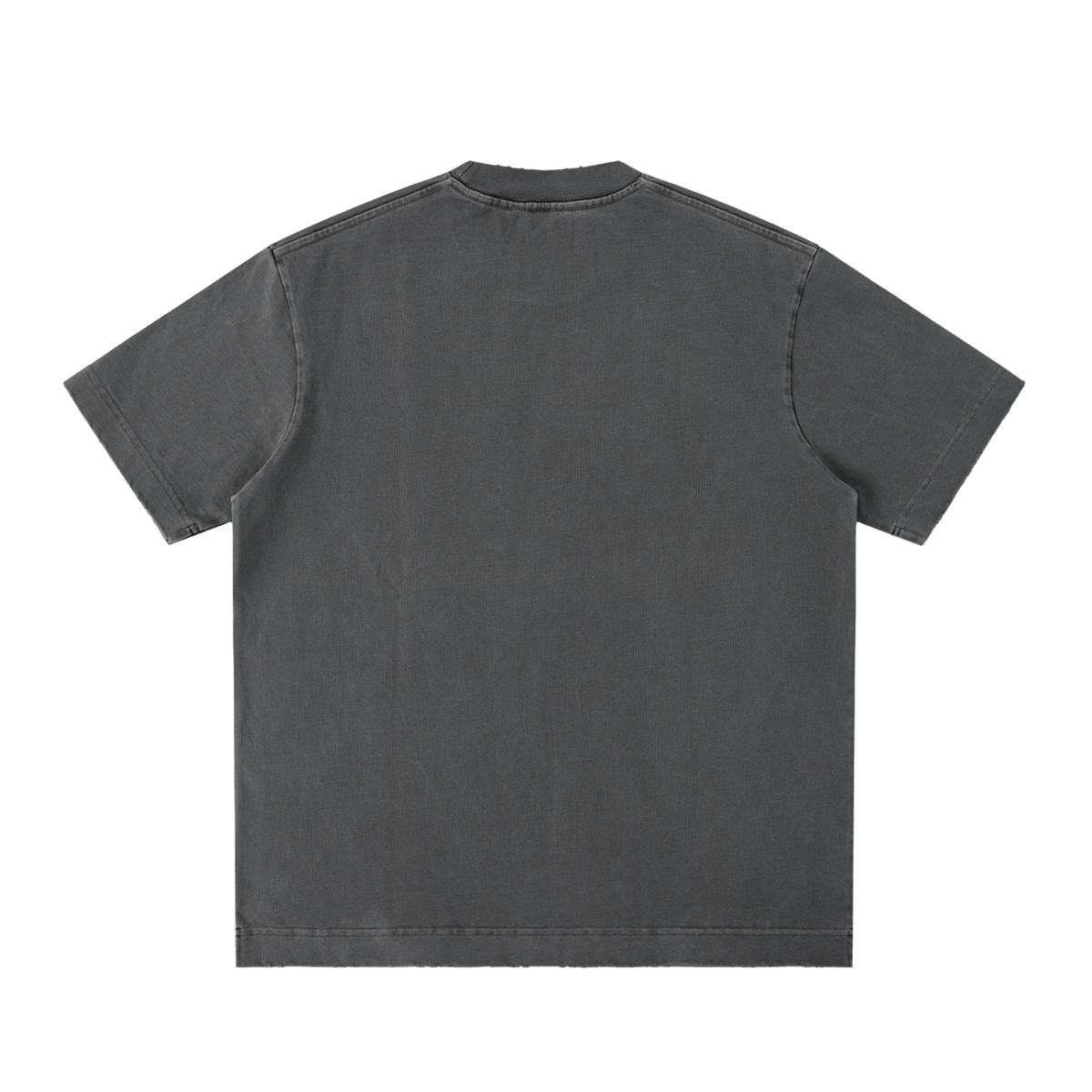 IRON LION ZION | Heavyweight Vintage Washed Frayed T-Shirt